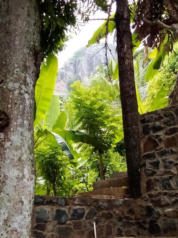Forest Rawana Homestay إيلا المظهر الخارجي الصورة