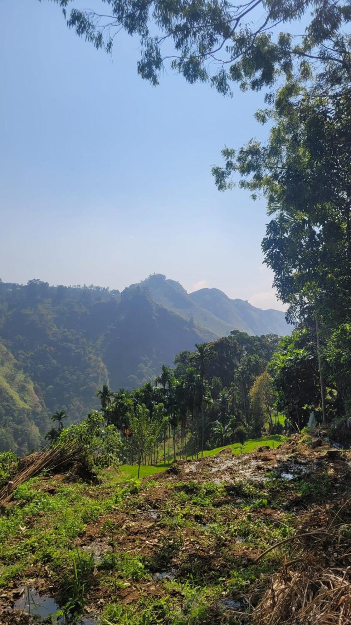 Forest Rawana Homestay إيلا المظهر الخارجي الصورة
