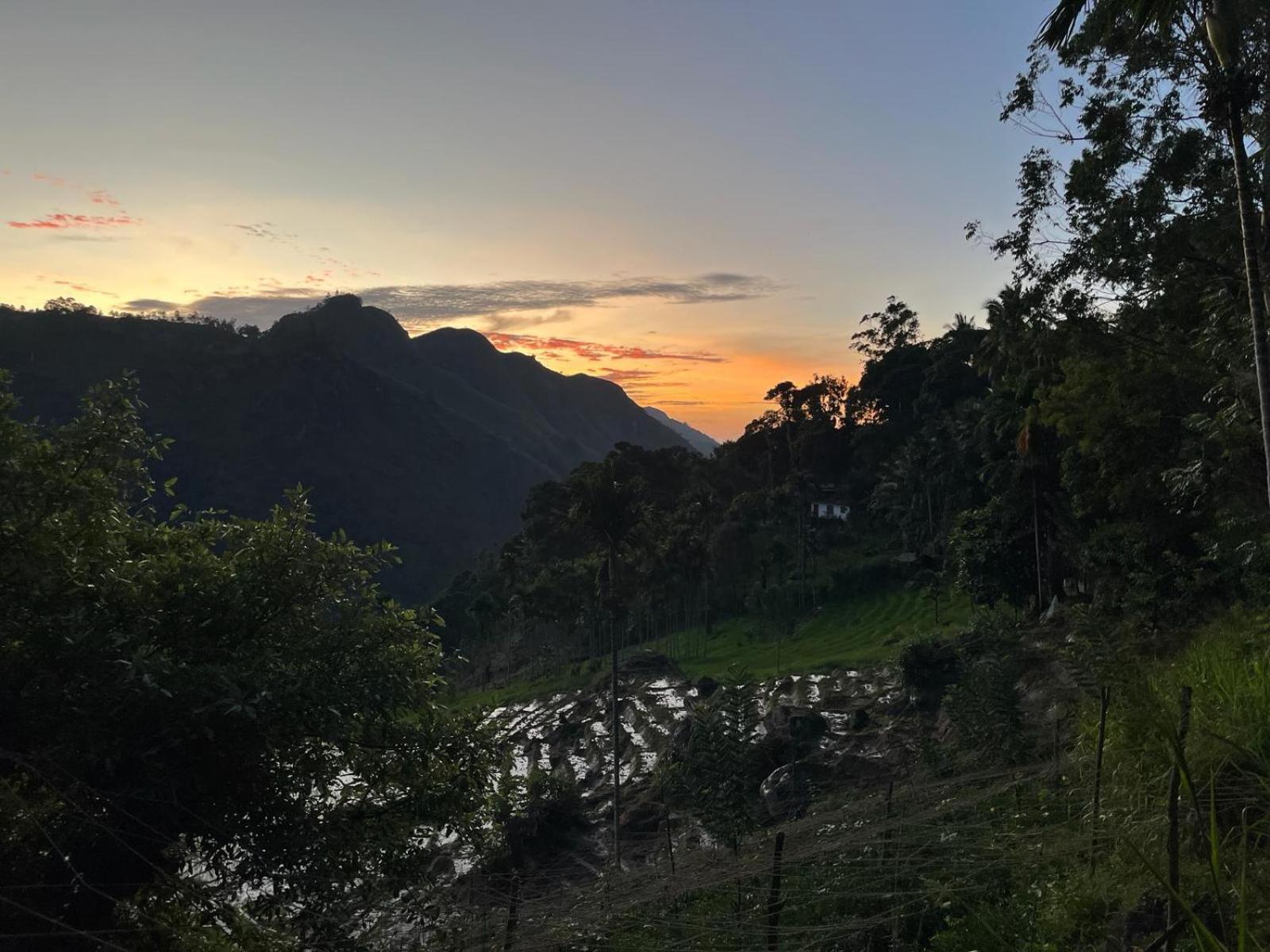 Forest Rawana Homestay إيلا المظهر الخارجي الصورة