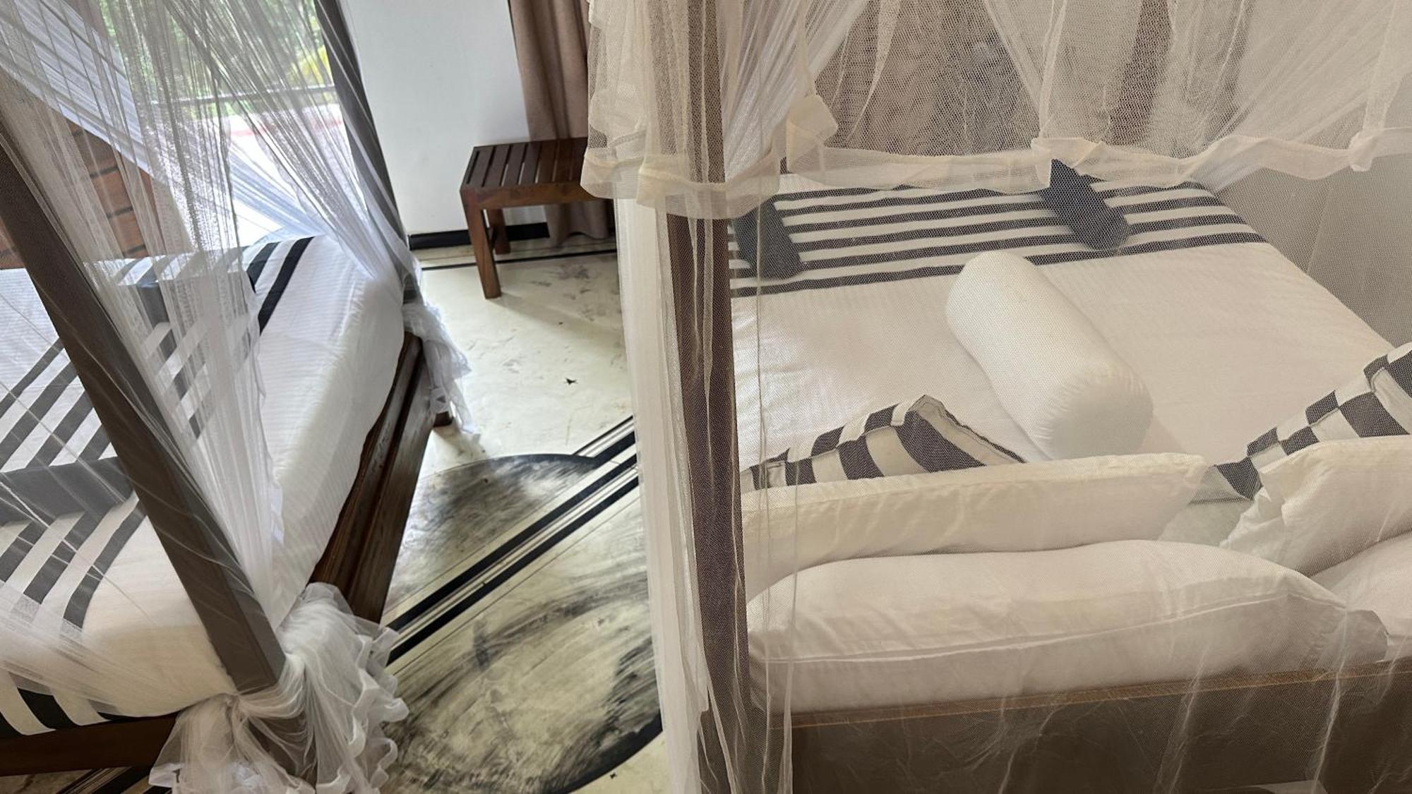 Forest Rawana Homestay إيلا الغرفة الصورة