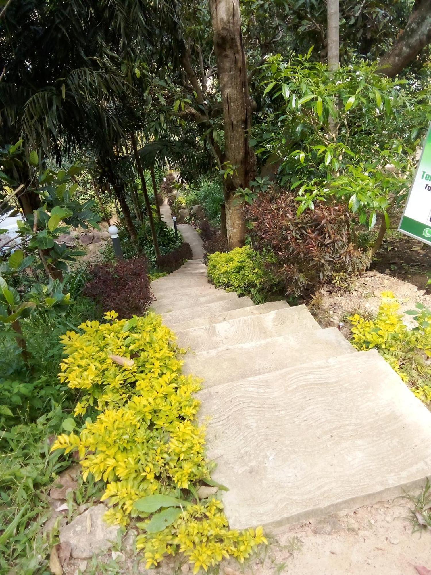 Forest Rawana Homestay إيلا المظهر الخارجي الصورة