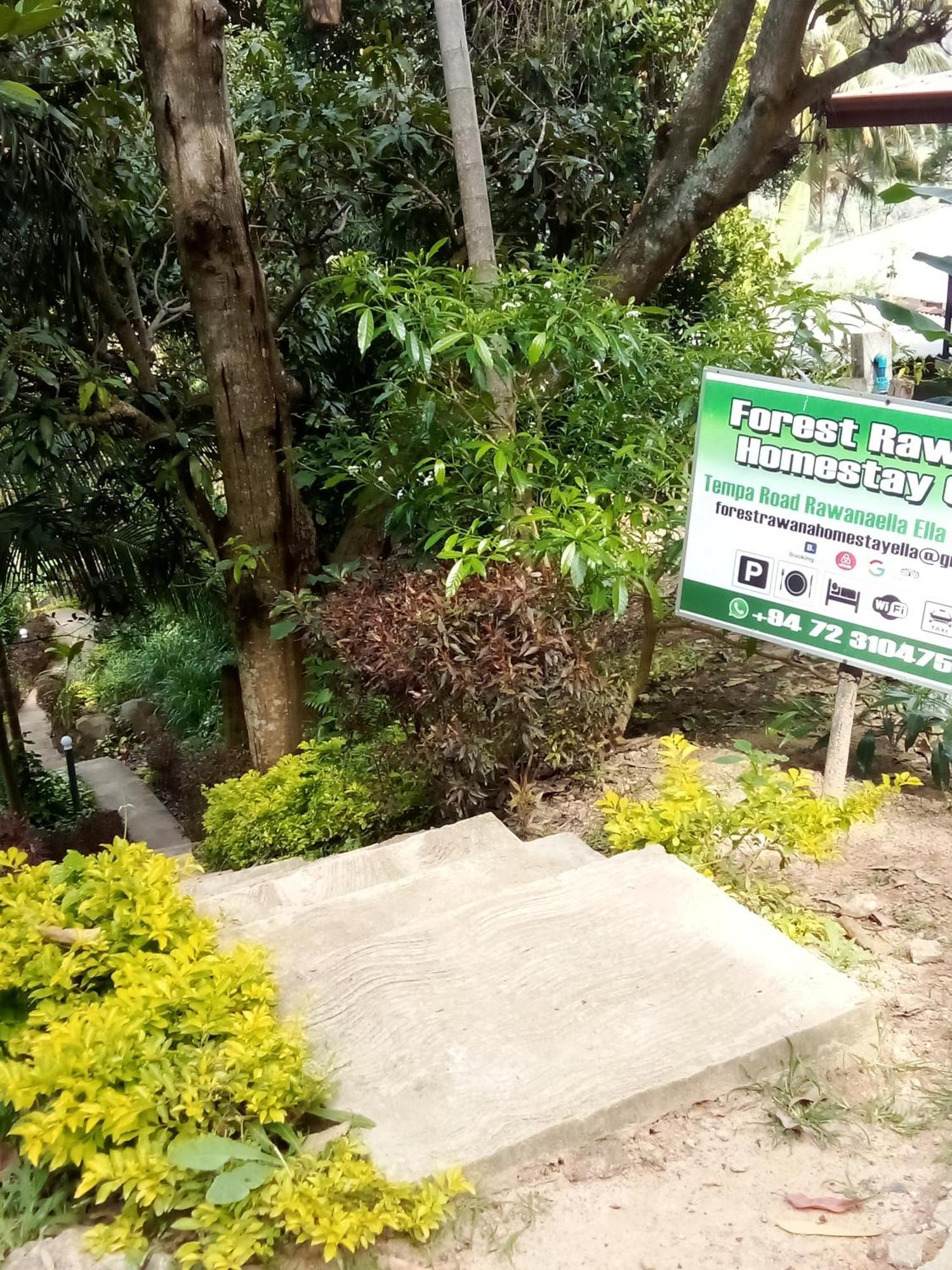 Forest Rawana Homestay إيلا المظهر الخارجي الصورة